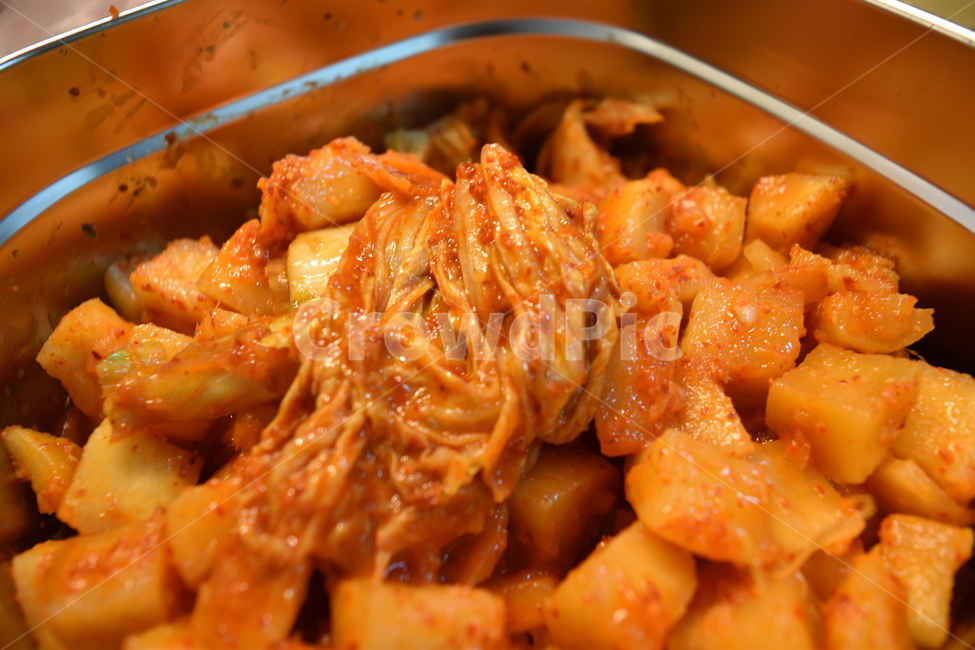 김치,깍두기,반찬,배추,양배추,양배추김치,음식,식재료,요리,food,cook,meal,dishes,food reserves,채소,야채,vegetables,한식,한국음식,한국요리,korean food,korean dishes,korean meal,korean cook