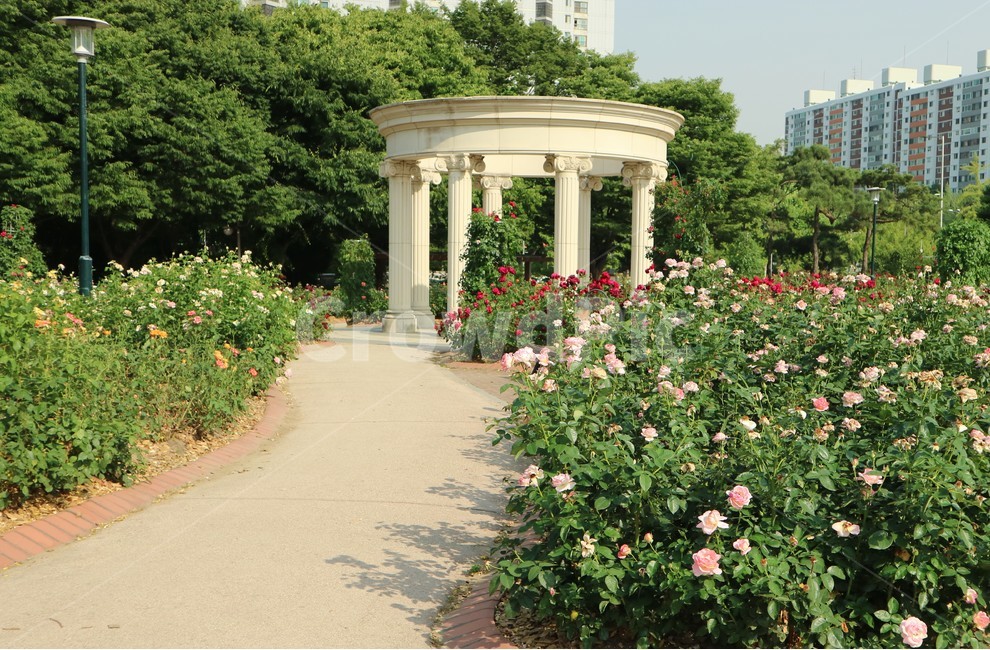 올림픽공원,장미광장,장미,꽃,공원,산책,자연,풍경,nature,landscape,건축물,건물외관,exterior,building,structure,architecture,construction,garden,정원,outdoors,옥외