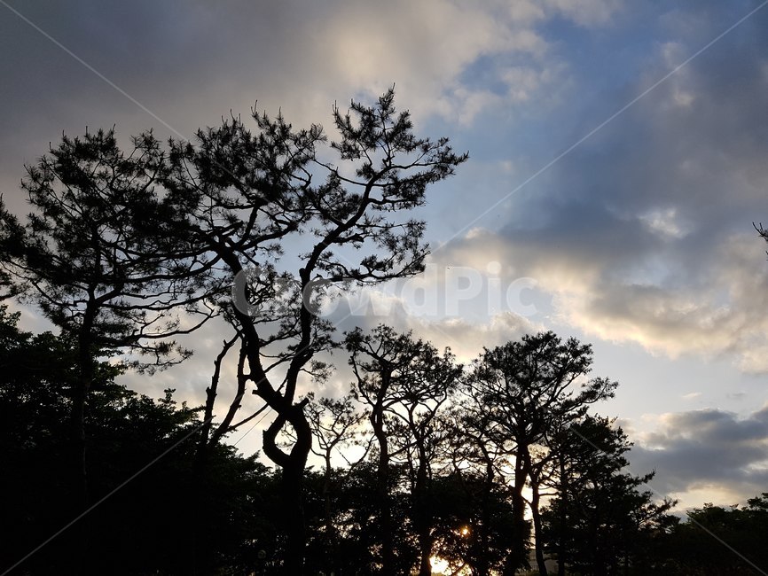 자연,nature,하늘,sky,실루엣,silhouette,옥외,outdoors