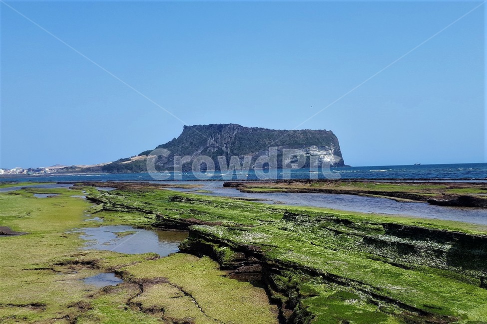 자연,제주도,식물,바다,녹색,성산일출봉,자연,풍경,nature,landscape,한국자연풍경,한국자연경관,korea nature landscape,제주도,jeju,jeju island