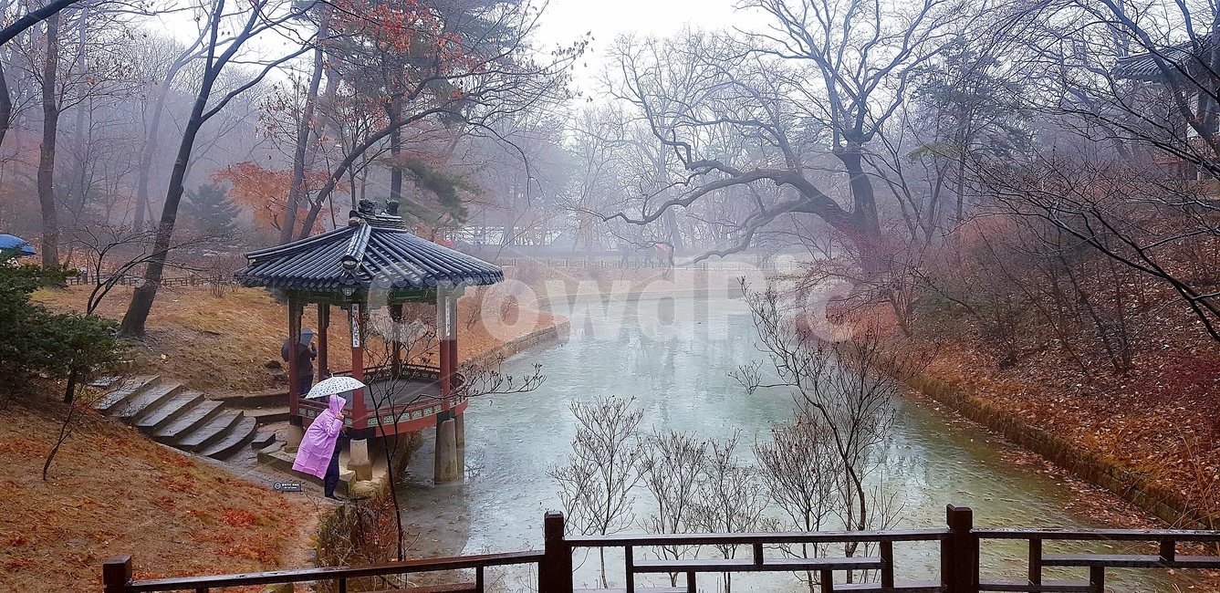 창덕궁,후원,겨울비,관람지,관람정,고궁,랜드마크,landmark,tourist attraction,한국랜드마크,한국관광지,한국명소,korea landmark,korea tourist attraction,사람,인물,인간,human,person,비,비오는날,rain,rainy