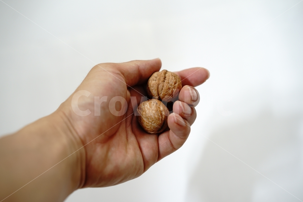 	누끼,누끼사진,호두,열매,견과류,알맹이,껍질,호두알,손운동,두개,커플,사람,인물,인간,human,person,음식,식재료,요리,food,cook,meal,dishes,food reserves,콩류,견과류,beans,pulse,nuts,dry fruits,누끼,remove background