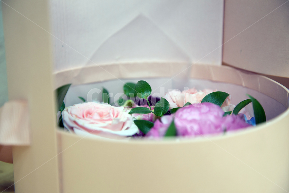 원형꽃박스,꽃박스,플라워,장미,녹색,식물,자연,plants,nature,꽃,flower,실내용화초,화분,화초,house plant,인테리어,실내디자인,interior design