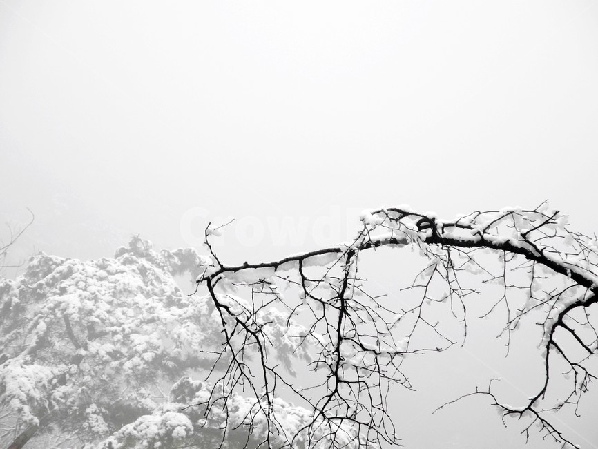 눈내린산,눈,설경,겨울산행,첫눈,겨울,계절,winter,season
