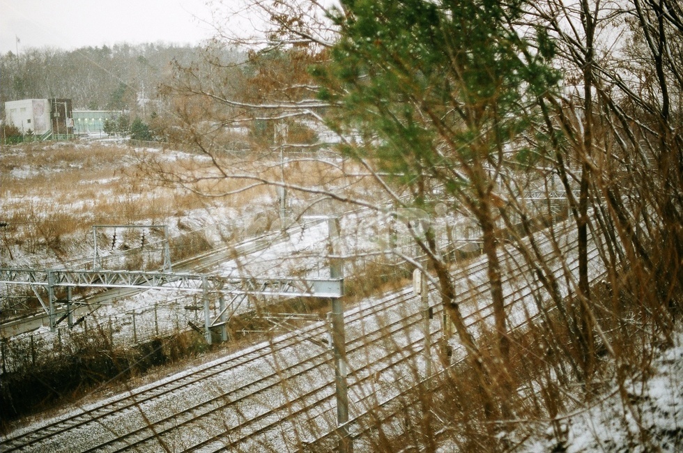 겨울풍경,필름사진,필름카메라,기찻길,rail,railway,눈오는날,눈,겨울,winter