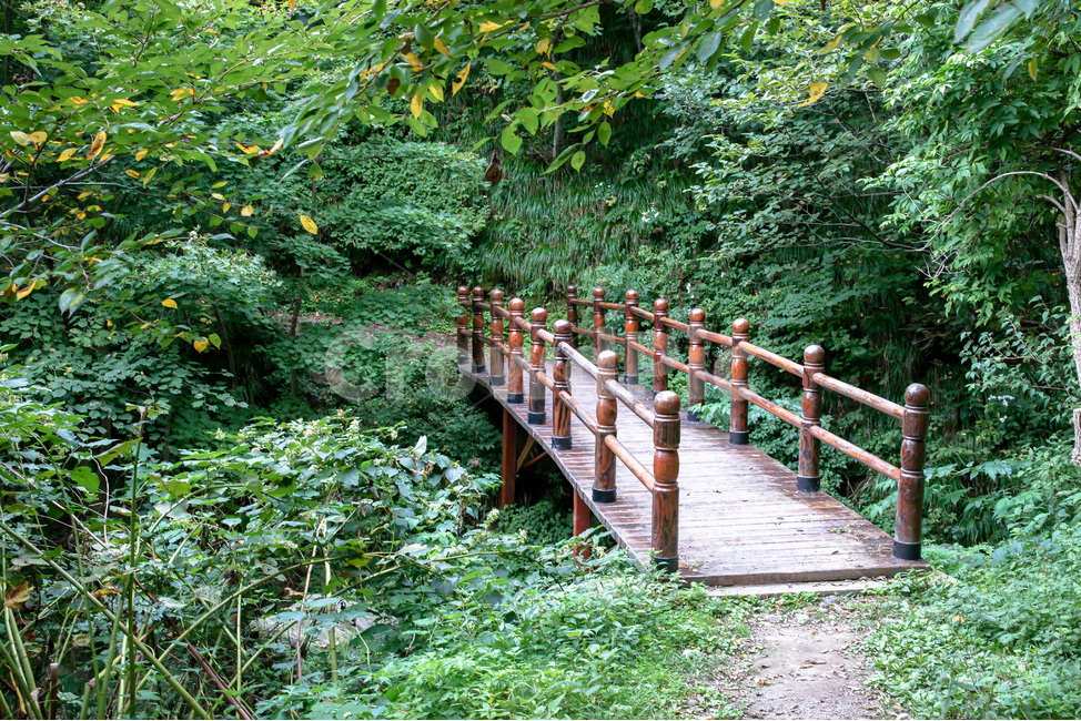 하늘,바다,자연,야외,관광,시원한,힐링,깨끗한,휴양,울릉도,섬,대한민국,산,다리,나무,울창한,녹색,계곡,목재,고요한,조용한,고즈넉한,자연,풍경,nature,landscape,outdoors,옥외,garden,정원,arbour,정자