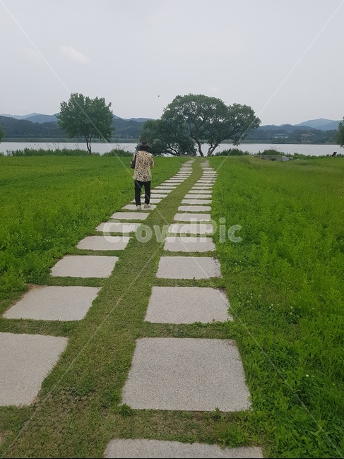 남양주,물의정원,공원,나무,돌담길
