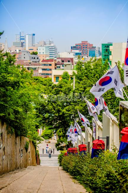 태극기,태극,국기,도로,산책로