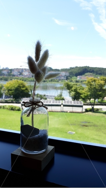 인테리어소품,풍경,plant,식물,강아지풀,자연배경,아웃포커스,유리병,유리병소품,감성사진,실내용화초,화분,화초,house plant
