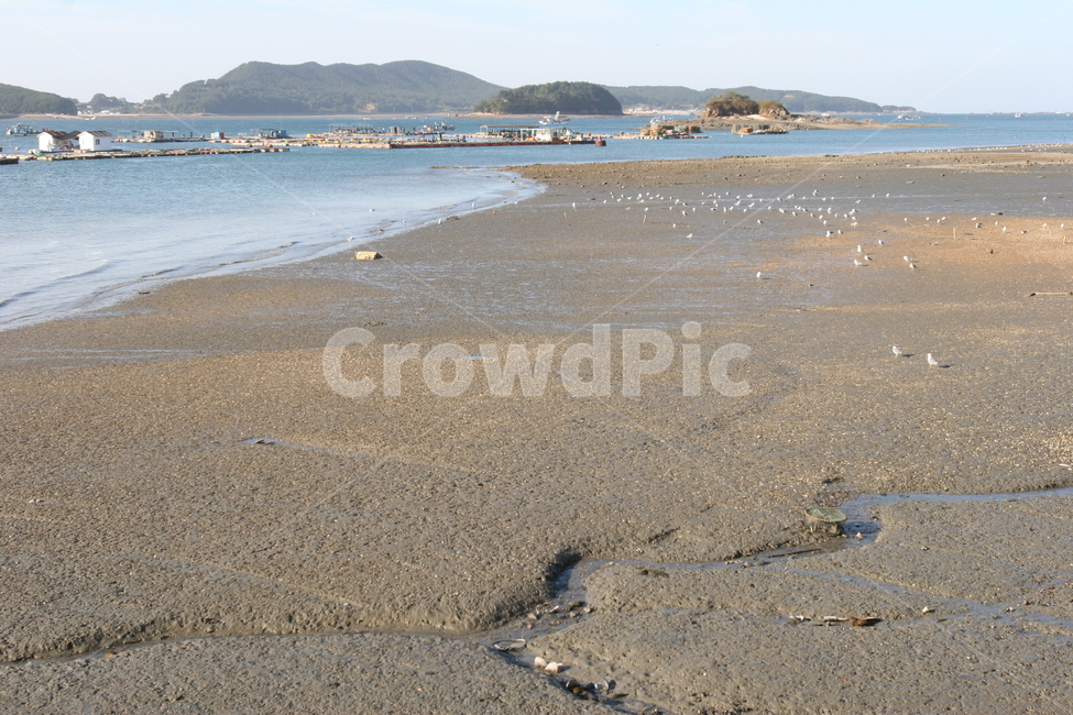 바다,해변,갈매기,모래사장,갯벌,물길,파도,부두,바다낚시,낚시,낚시배,조각배,보트