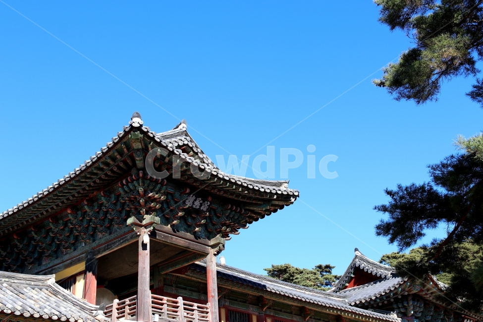 불국사,유적,절,사찰,유산,경주,한국전통,한국문화,korean traditional,korean culture,랜드마크,landmark,tourist attraction,한국랜드마크,한국관광지,한국명소,korea landmark,korea tourist attraction,종교,신앙,religion,belief,faith,건축물,건물외관,exterior,building,structure,architecture,construction