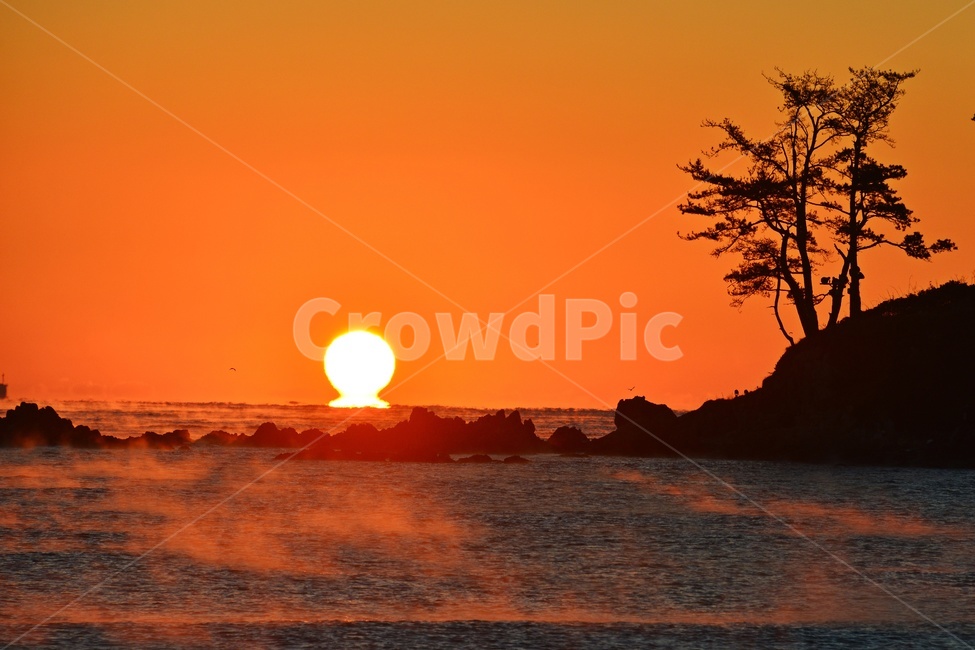 nature,자연,outdoors,옥외,sky,하늘,dawn,새벽,redsky,붉은하늘,sunlight,햇빛,울산,울주,명선도,강양항,명선도아침,일출,해돋이,여명,소나무,경치,경관,풍경,물안개,자연,풍경,nature,landscape