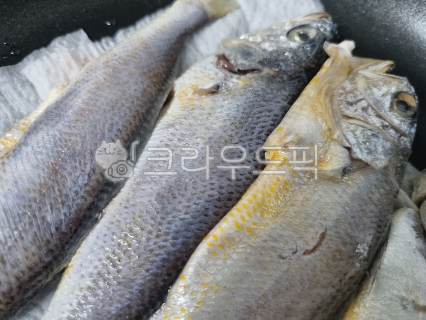 식재료, 요리재료, 음식재료, foodstuff, cookingmaterial, 사진,이미지,일러스트,캘리그라피 - 작가 DREAM작가