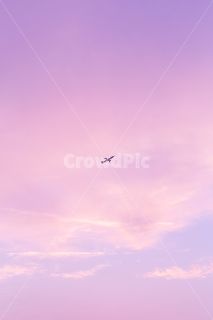 비행기,하늘,구름,핑크,감성,그라데이션,색감,컬러,flying,palne,aircraft,airplane,sky,cloud,pink,color,교통,transportation,항공기,자연,풍경,nature,landscape,animal,동물,나는,bird,새,vehicle,차량