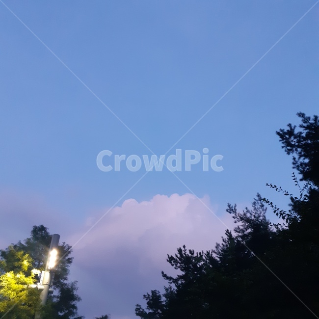 하늘,구름,자연,나무,sky,cloud,nature,tree,빛,light