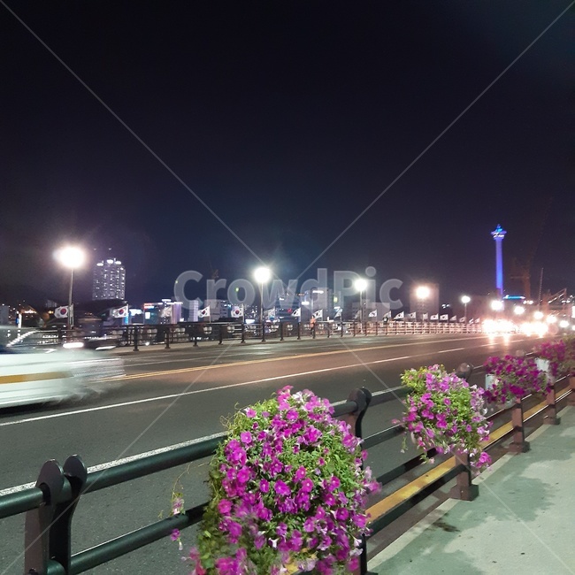 bridge,부산,야경,가로등,영도대교,용두산공원