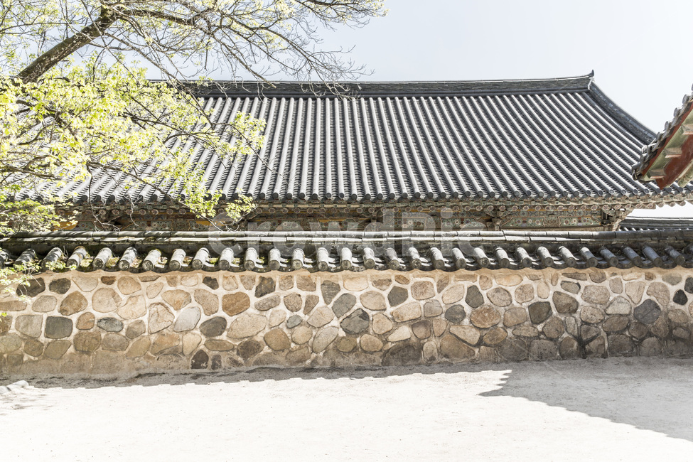 돌담,기와,담벼락,사찰,건축,선,무늬,고택,지붕,돌담길,전통한옥,한국의미,한국전통,한국문화,korean traditional,korean culture,건축물,건물외관,exterior,building,structure,architecture,construction