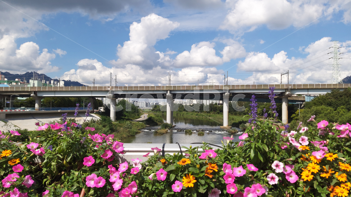 중랑천,개천,철교,하늘,구름,꽃,jungnangcheon,stream,railroadbridge,sky,clouds,식물,자연,plants,nature,꽃,flower,건축물,건물외관,exterior,building,structure,architecture,construction