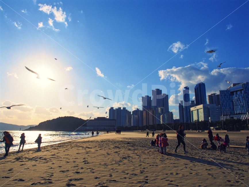 부산,해운대,겨울바다,해수욕장,바다,해변,바다,beach,sea,여행,휴가,traveling,vacation,trip,도시,풍경,city,landscape,사람,인물,인간,human,person