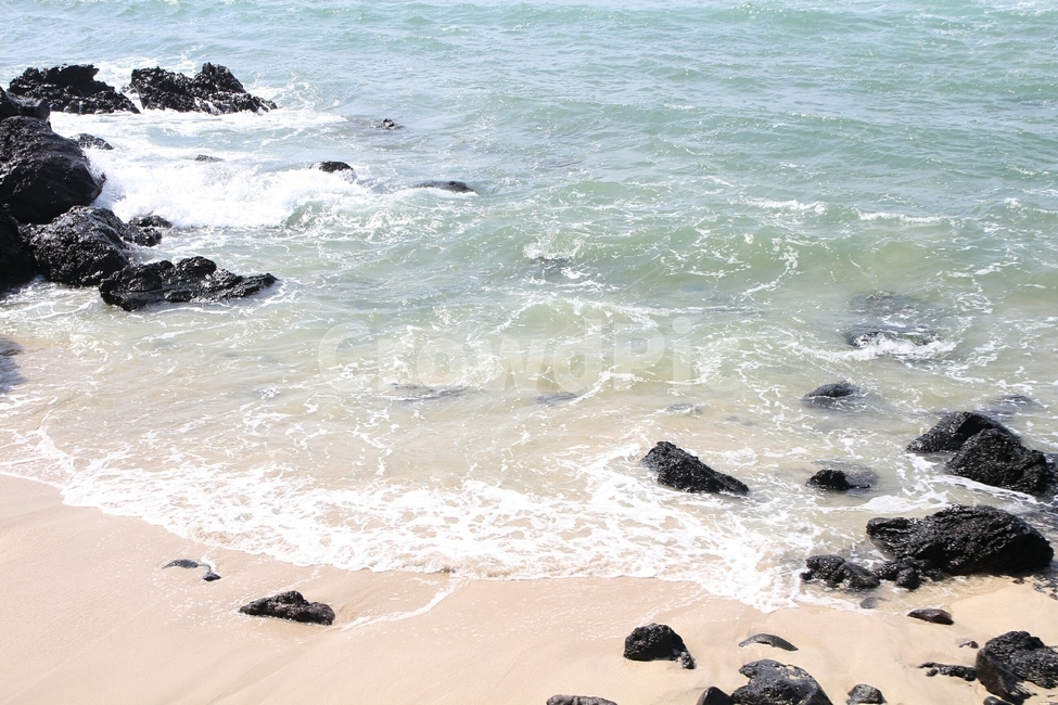 sea,바다,제주도,jeju,ocean,nature,자연,대양,water,물,자연,풍경,nature,landscape