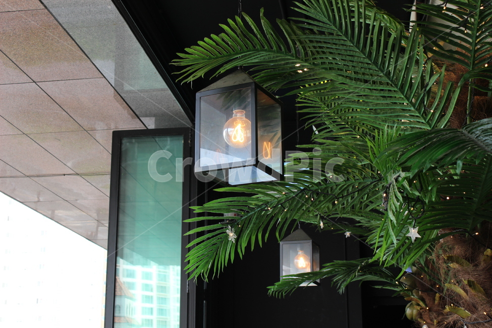 전등,light,lamp,나무잎,leef,창문,window