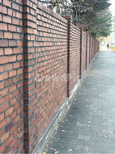 벽,담,wall,벽돌,brick,거리,street,보도블럭,sidewalkblock,보도,walkway,sidewalk,풍경,scenery,나무,tree,나무줄기,treetrunk,낙엽,deciduous,잎,leaf,생활,life,바닥,땅,ground,floor,flooring,통로,path,판석,flagstone,길,road,도시,town