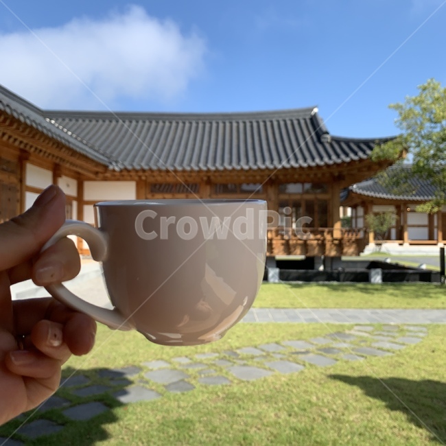coffeecup,커피컵,컵,한옥여행,잔디,맑은하늘,한옥집,커피,카페,coffee,cafe