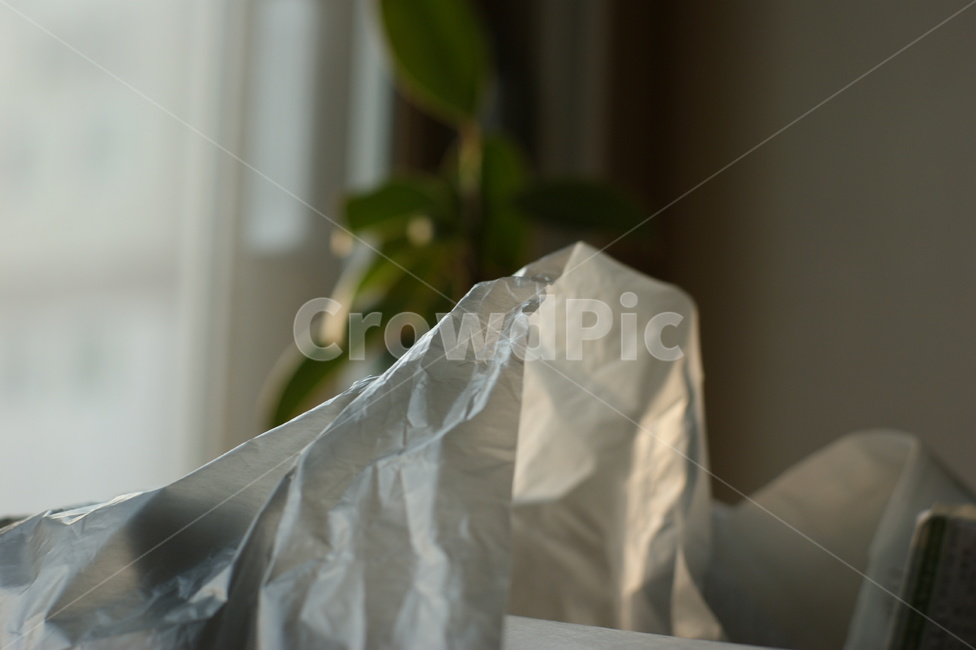 비닐봉지,식물,플라스틱봉지,plant,따뜻한,aplasticbag,포커스,focus,빈티지,감성,feeling,nature,낭만