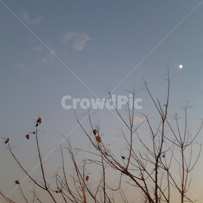 하늘,sky,구름,cloud,푸른하늘,azuresky,자연,nature,옥외,outdoors
