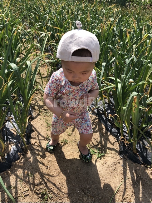 아기고무신,시골여행,아기몸빼,호기심,아기패션,촌스러움