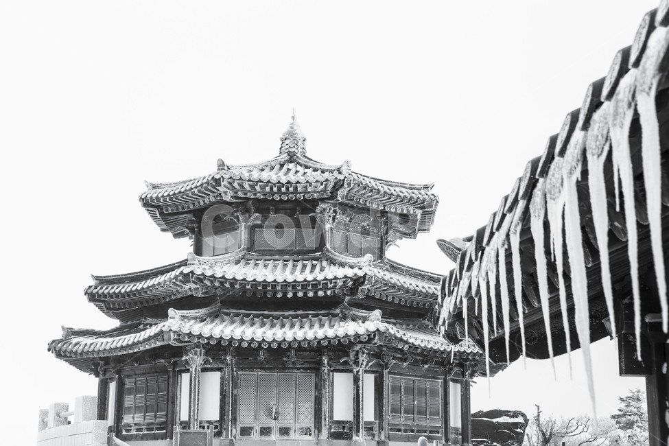 고드름,풍경,자연,한국의미,겨울풍경,겨울,계절,winter,season,한국전통,한국문화,korean traditional,korean culture,흑백,모노톤,monochrome,black and white,건축물,건물외관,exterior,building,structure,architecture,construction