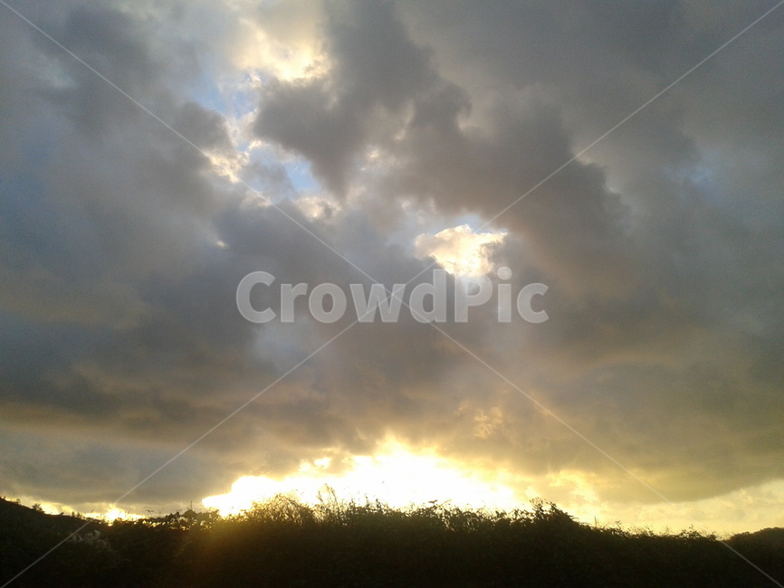 flare,플레어,light,빛,sunlight,햇빛,자연,nature,outdoors,weather,날씨,숲