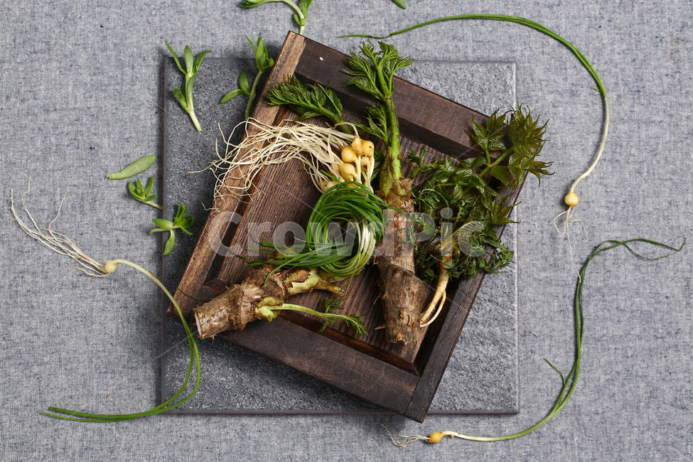 봄,봄나물,달래,자연주의,나물,음식,식재료,요리,food,cook,meal,dishes,food reserves,채소,야채,vegetables