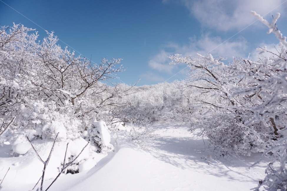 겨울,산,설경,눈,자연,겨울,계절,winter,season,자연,풍경,nature,landscape,outdoors,옥외,snow,storm,폭풍,blizzard,눈보라