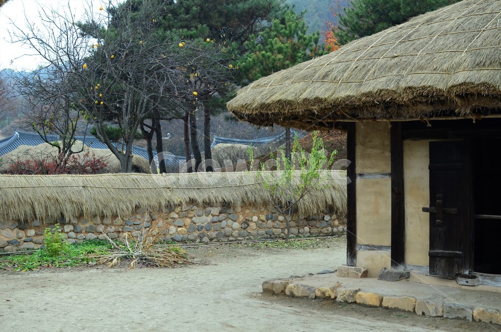 전통가옥,한옥,초가집,한국건축문화,이엉,고향,한국정서,한국전통,전통문화,한국전통,한국문화,korean traditional,korean culture,건축물,건물외관,exterior,building,structure,architecture,construction