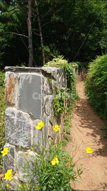 시골길,돌담길,돌담,오솔길,숲속,자연,여름날,여름,자연,풍경,nature,landscape