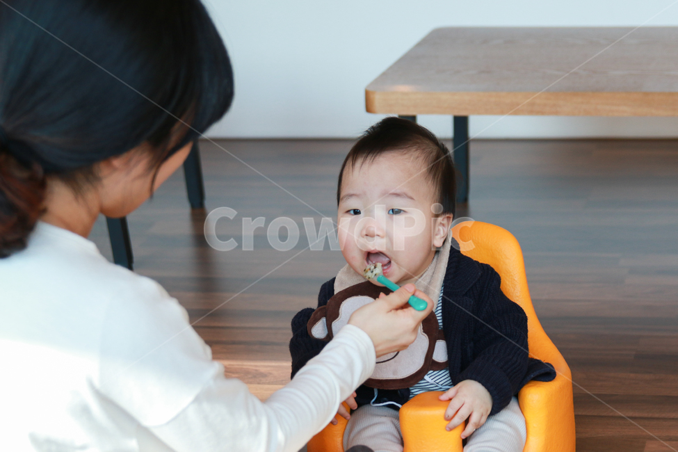 아기,이유식,육아,남자아이,맘마,어린이,아이,밥,식사,남자,영양,아기이유식,귀여운,사랑스런,숟가락,아동,양육,통통한,천사같은,꼬마,영유아,유아,사람,남자아기,1살,1살아기,성장,수유실,육아휴게실,얼굴,표정,11개월,발달,엄마,맛있는,먹는,가족,인물,모델,아기모델,자연스러운,생활,라이프스탕ㄹ,일상,사랑스러운,사람,인물,인간,human,person,가족,패밀리,family,영유아,아기,애기,아이,infants,baby