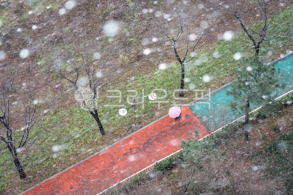 winter mood,snow scene,heavy snow,winter,cold,bright eyes,calamity,Natural Disasters,big eyes,Heavy snow warning,weather,sight,season,snowflake,nature,snowstorm,outdoor,outdoors,snow,winter landscape,icicle