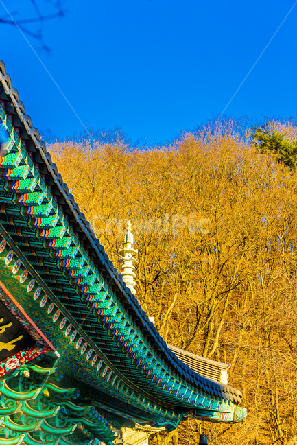 사찰,단청,선,탑,건축,한국전통,한국문화,korean traditional,korean culture,건축물,건물외관,exterior,building,structure,architecture,construction