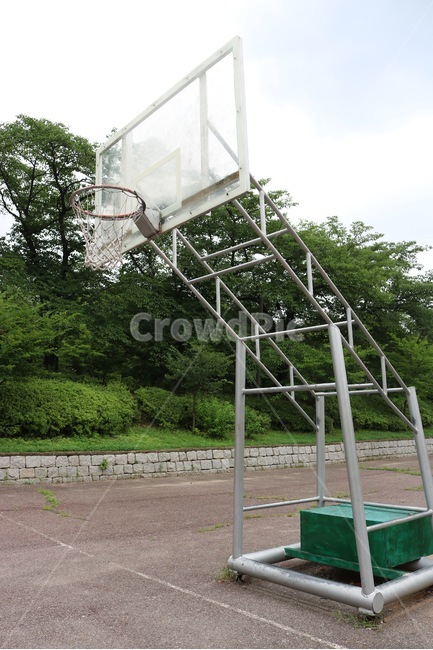 농구,골대,나무,하늘,basketball,goalpost,tree,ki,sky,sora,초록,green,midori,스포츠,레저,운동,sports,leisure,exercise