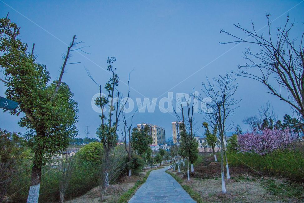 path,통로,공원,후베이,중국