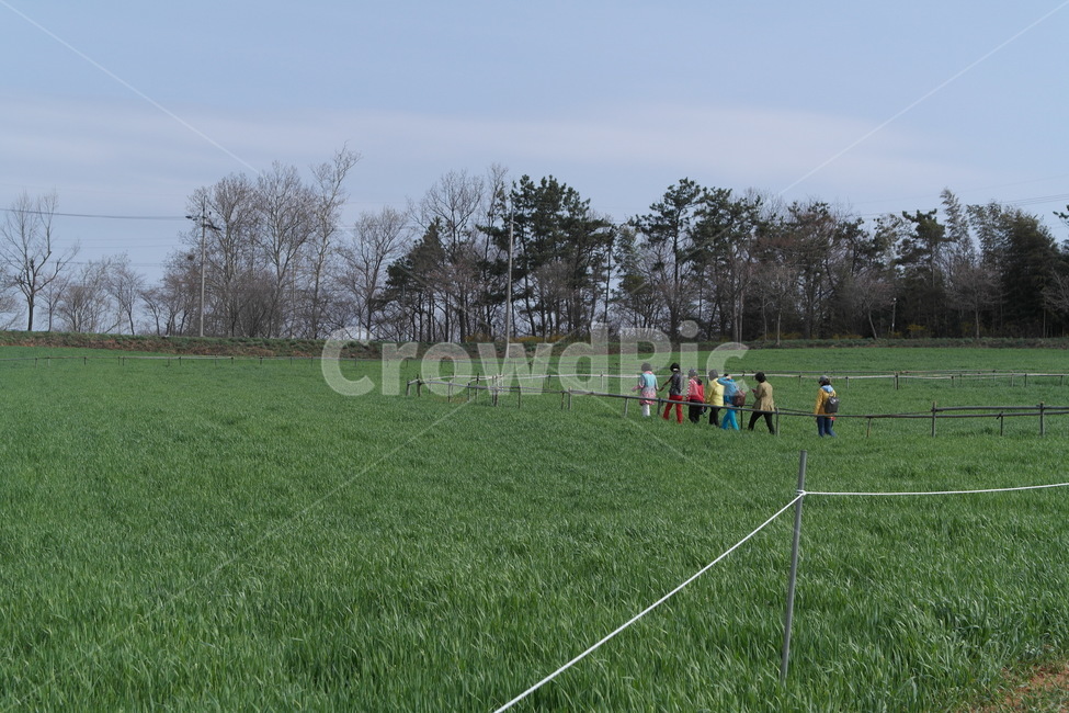 인간,field,들,사람,풍경