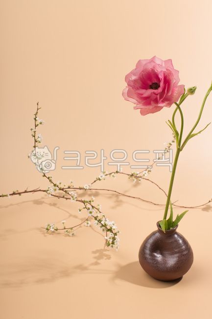 Butterfly Ranunculus,flower decoration,pink,vase,ranunculus,Lannon,flower,Seol Yuhwa