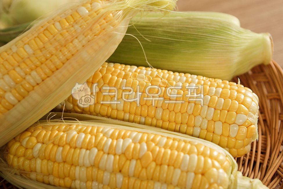 옥수수,초당옥수수,농산물,노란옥수수,cannedcorn,초당,농작물,식품,과일,야채,채소,식물,간식,음식,식재료,요리,food,cook,meal,dishes,food reserves