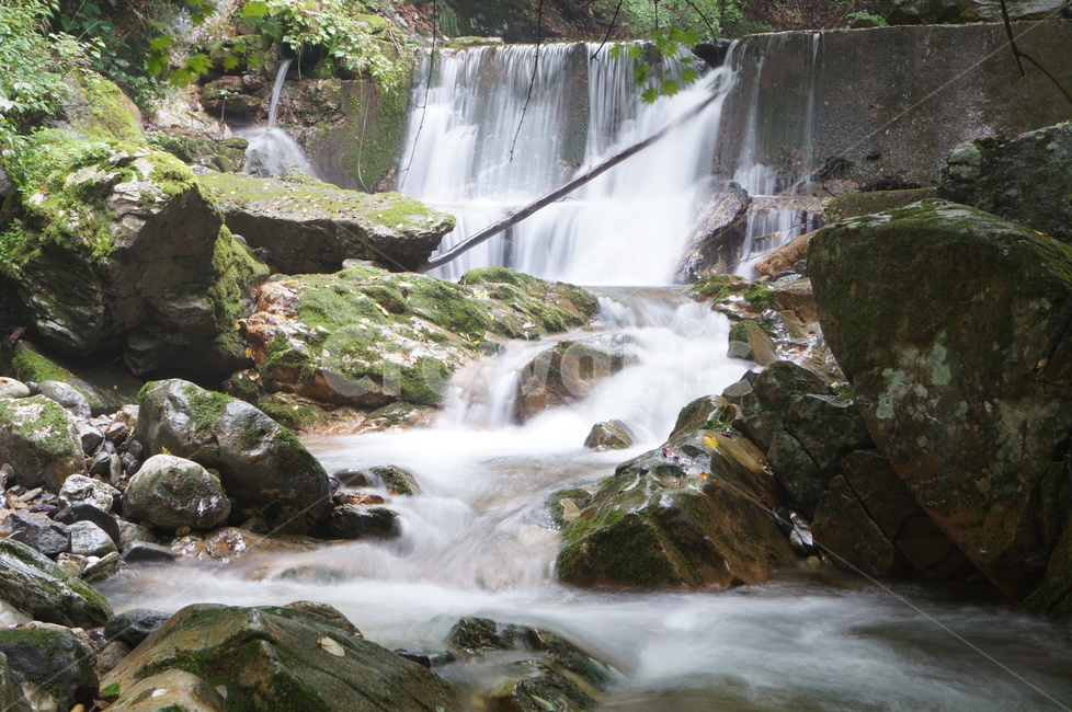 계곡,여름,물놀이,계곡물,돌,이끼,valley,water,stone,숲속,자연,풍경,nature,landscape,물,river,강,outdoors,옥외,waterfall,폭포