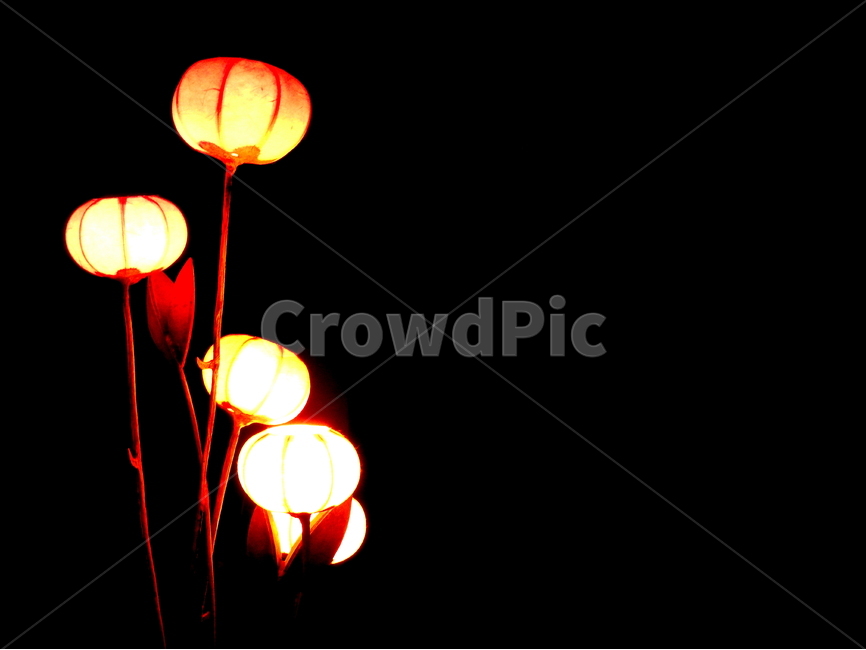불빛,밤,야간,등불,light,야경,밤,풍경,nightscape,night,landscape,lamp,램프