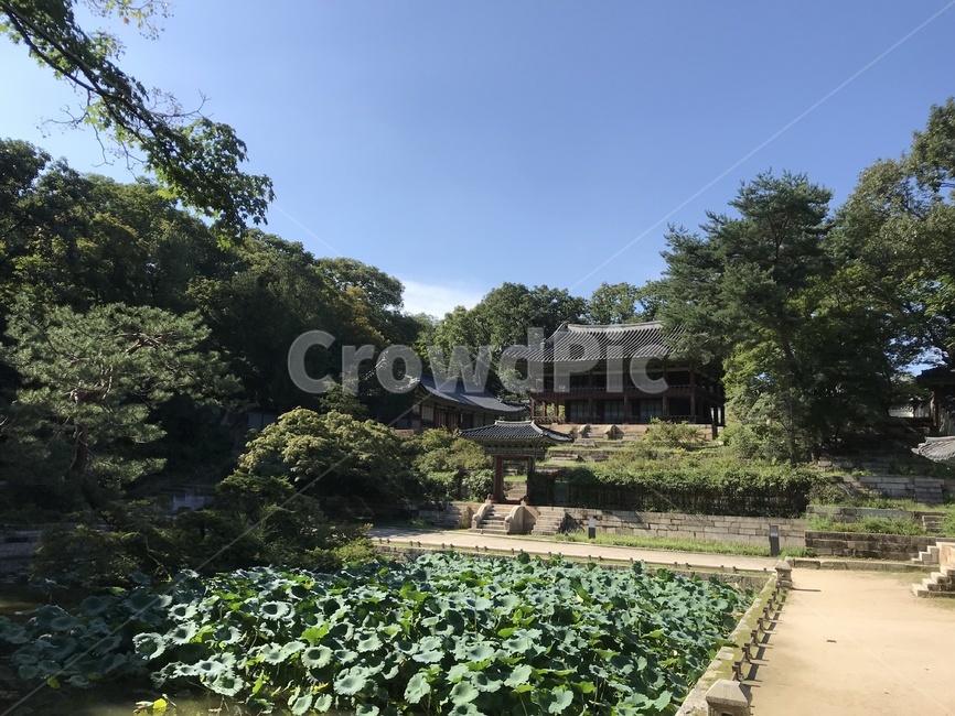 창덕궁,창덕궁후원,창덕궁전각,changdeokgung,창덕궁내부,한국전통,한국문화,korean traditional,korean culture,건축물,건물외관,exterior,building,structure,architecture,construction