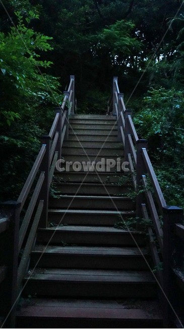 계단,숲,어두운,숲속계단,산책로,올라가는,경사,자연,높은,stairs