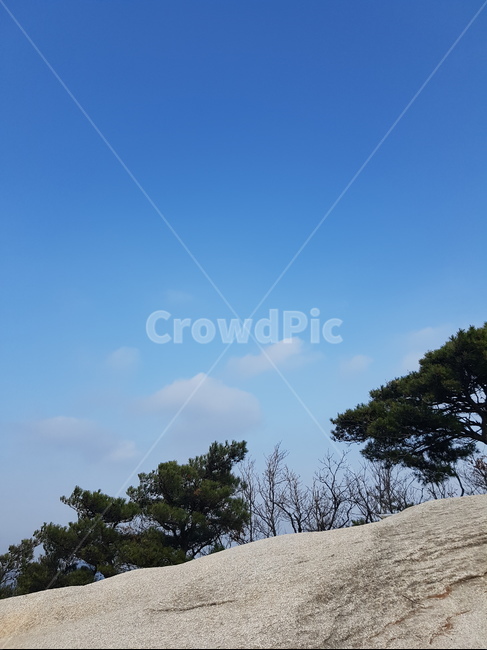 하늘,등산,나무,돌,정상,푸른하늘,산정상,자연,풍경,nature,landscape,tree,plant,식물