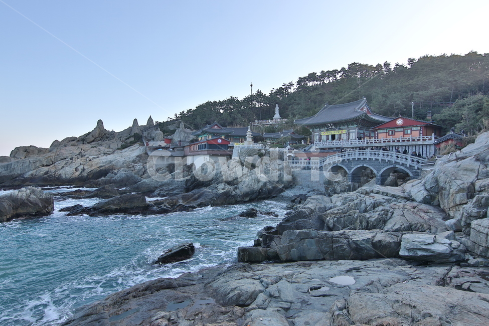 nature,자연,사찰,절,관광지,바다,용궁사,해동용궁사